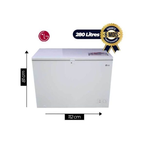congélateur coffre LG – GCS315SVF – 280 L - A+ – 2 paniers - 6 Mois de garantie